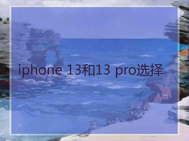 iphone 13和13 pro选择