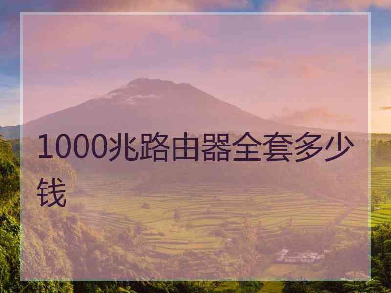 1000兆路由器全套多少钱