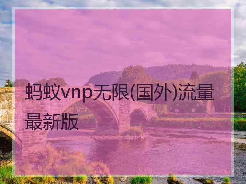 蚂蚁vnp无限(国外)流量最新版