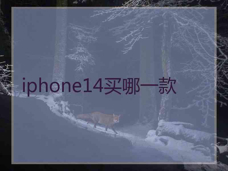 iphone14买哪一款