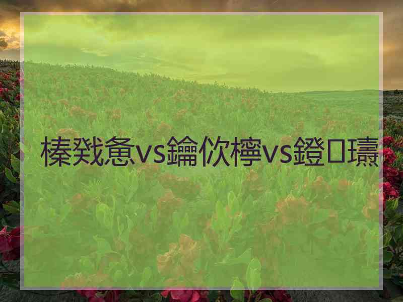 榛戣惫vs鑰佽檸vs鐙瓙