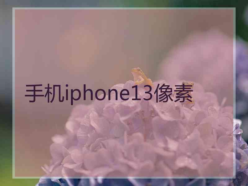 手机iphone13像素