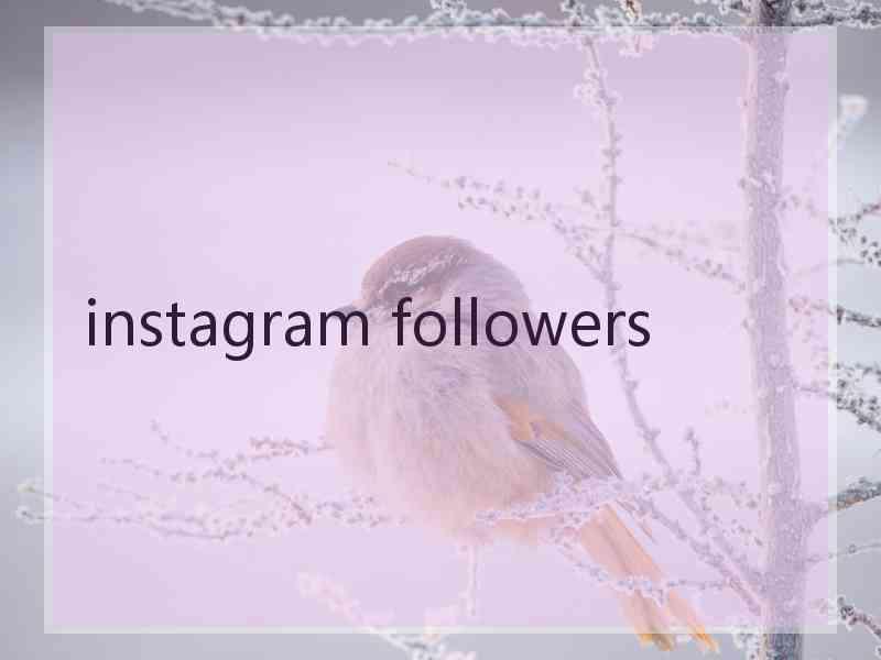 instagram followers