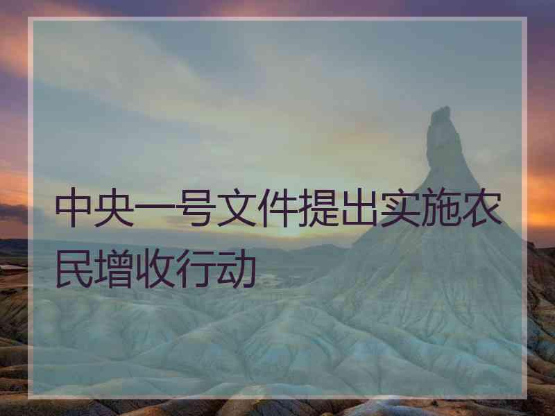 中央一号文件提出实施农民增收行动