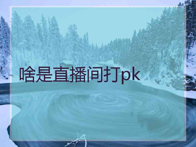 啥是直播间打pk