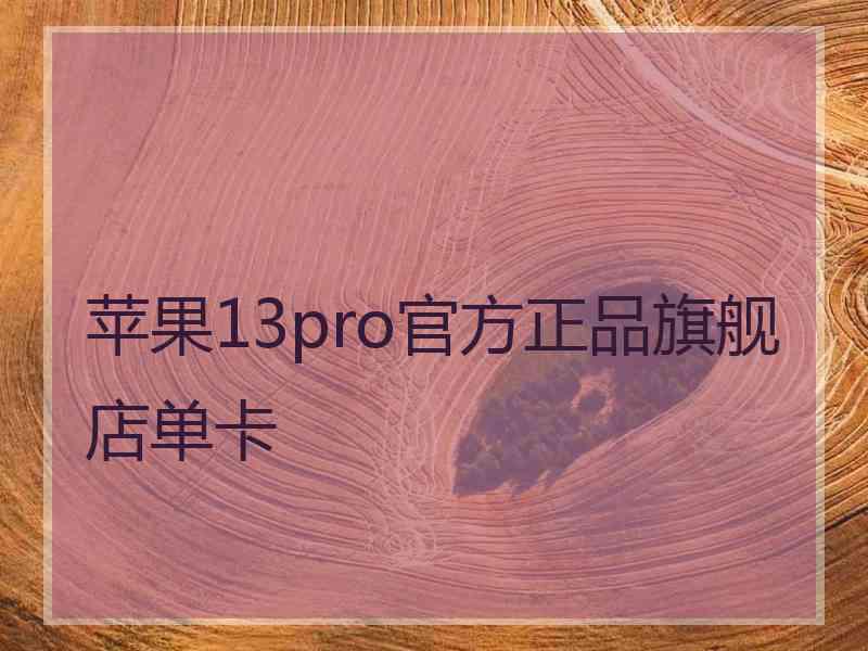 苹果13pro官方正品旗舰店单卡