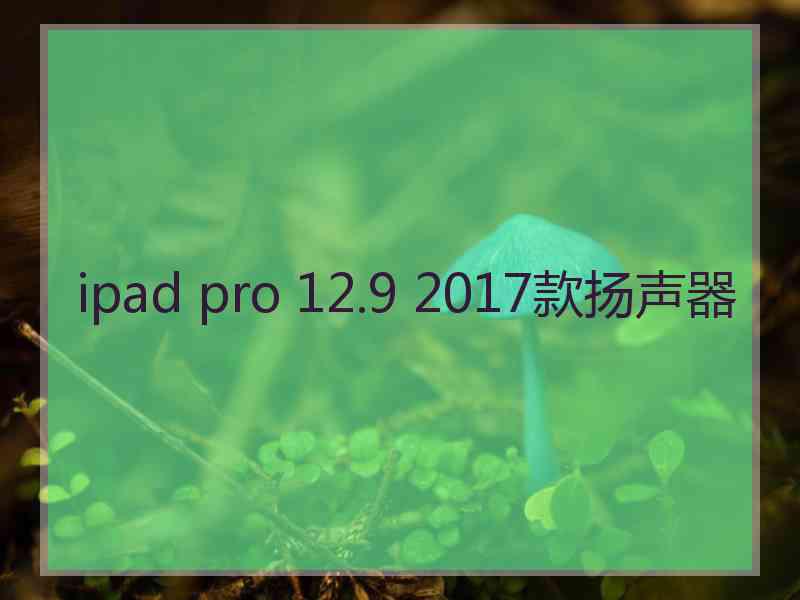 ipad pro 12.9 2017款扬声器