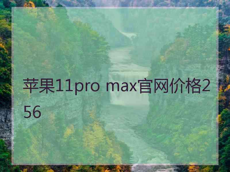 苹果11pro max官网价格256