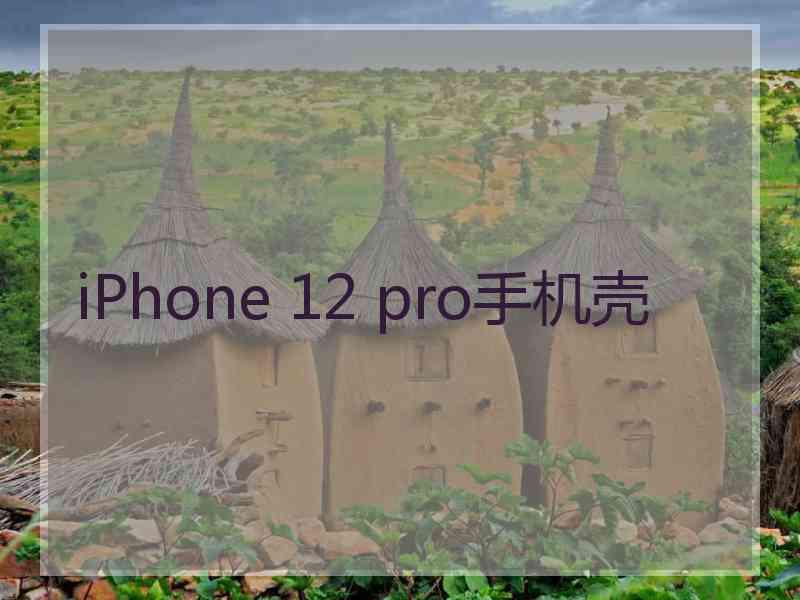 iPhone 12 pro手机壳