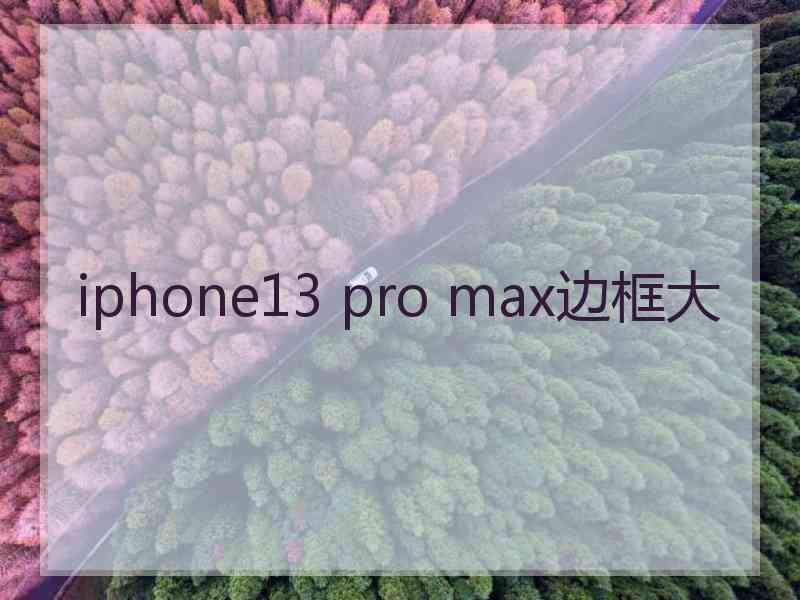 iphone13 pro max边框大