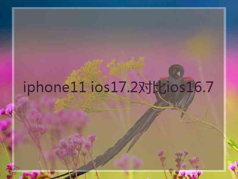 iphone11 ios17.2对比ios16.7