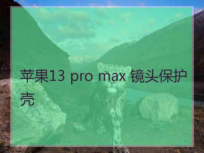 苹果13 pro max 镜头保护壳