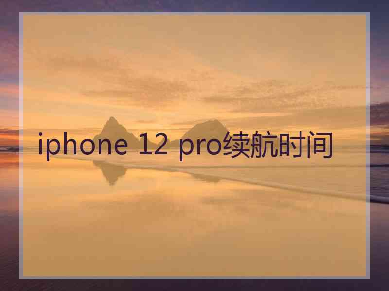 iphone 12 pro续航时间