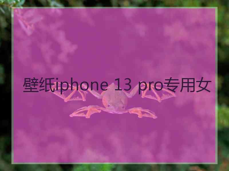 壁纸iphone 13 pro专用女