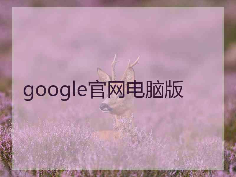 google官网电脑版