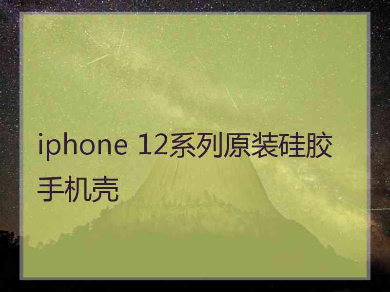 iphone 12系列原装硅胶手机壳