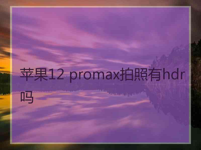 苹果12 promax拍照有hdr吗