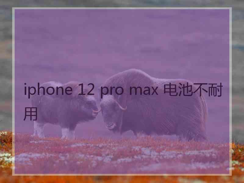 iphone 12 pro max 电池不耐用