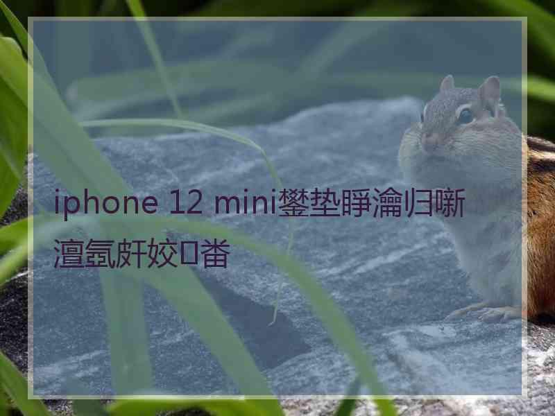 iphone 12 mini鐢垫睜瀹归噺澶氬皯姣畨