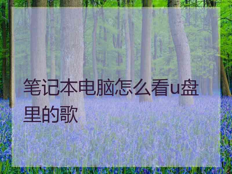 笔记本电脑怎么看u盘里的歌