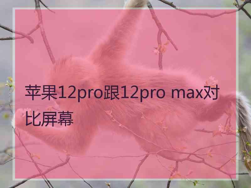 苹果12pro跟12pro max对比屏幕