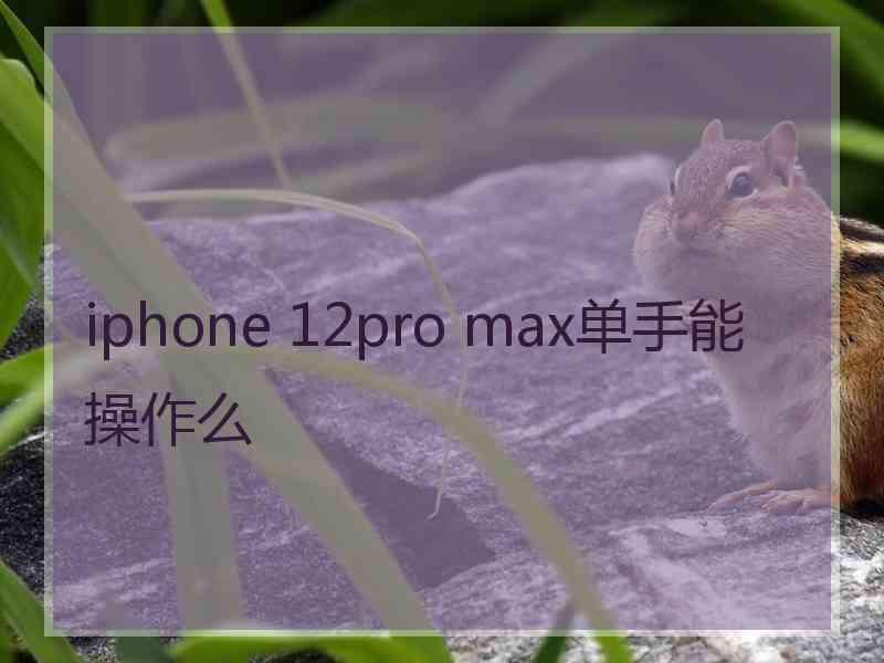 iphone 12pro max单手能操作么