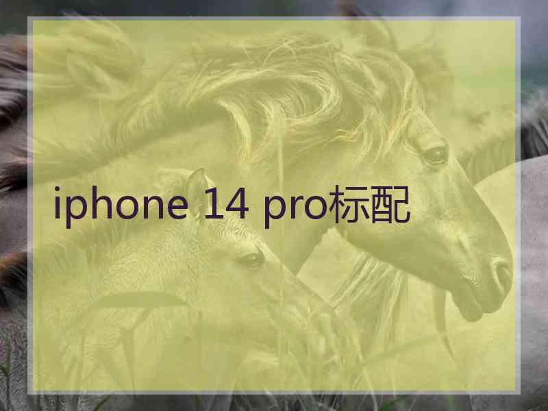 iphone 14 pro标配