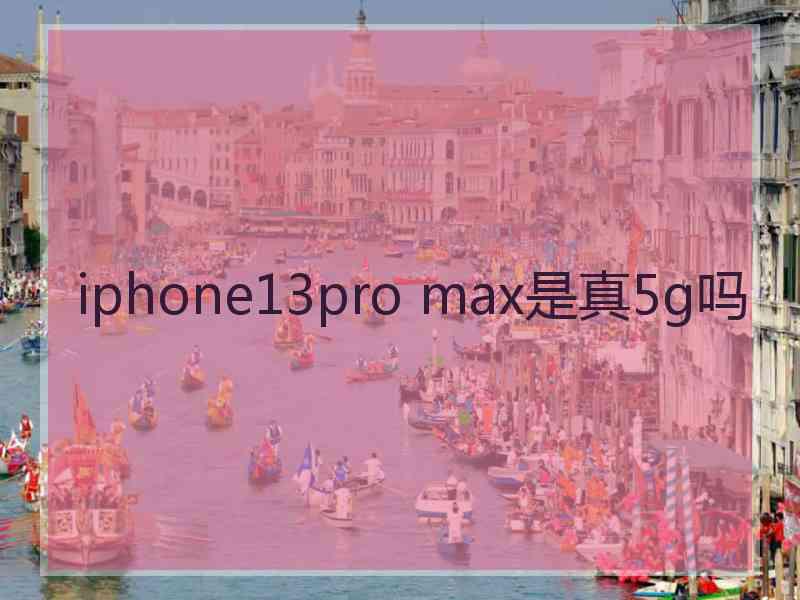 iphone13pro max是真5g吗