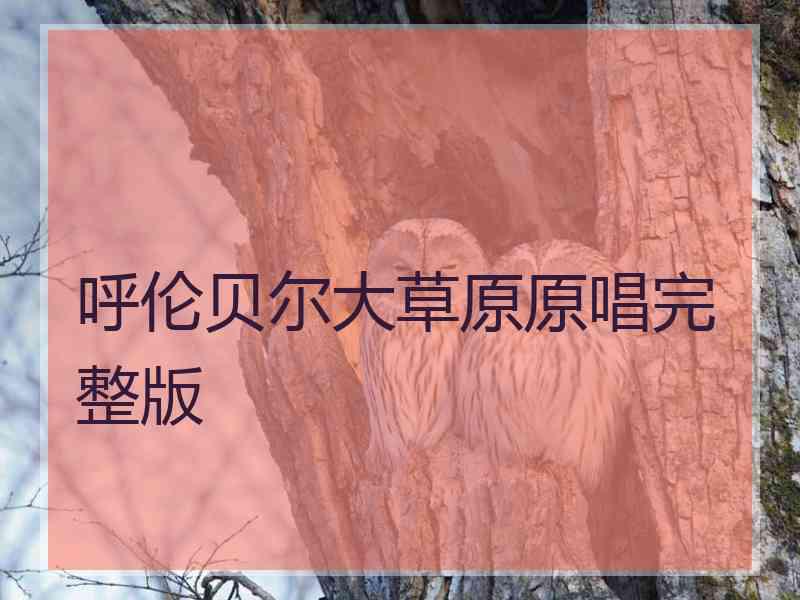 呼伦贝尔大草原原唱完整版