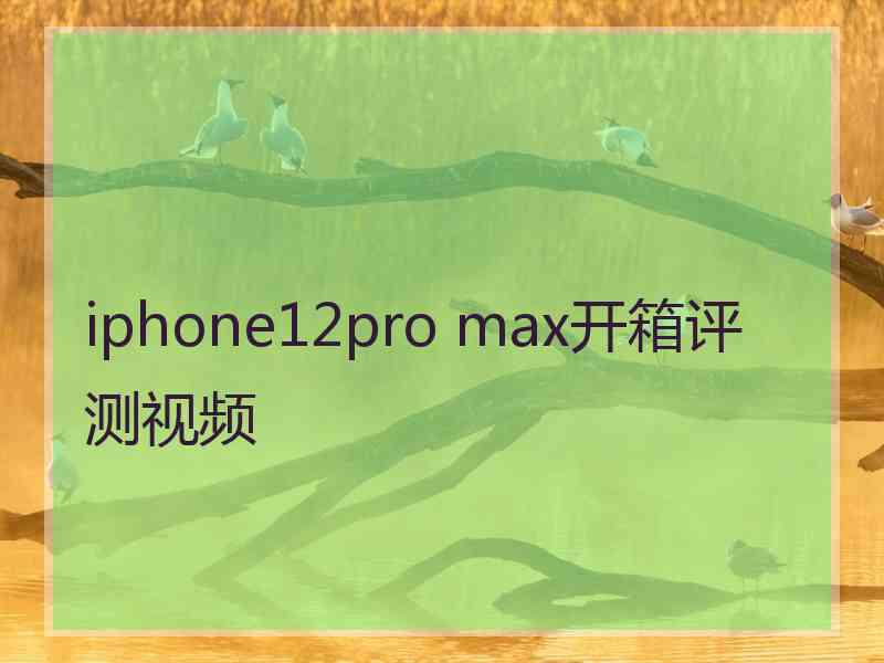 iphone12pro max开箱评测视频