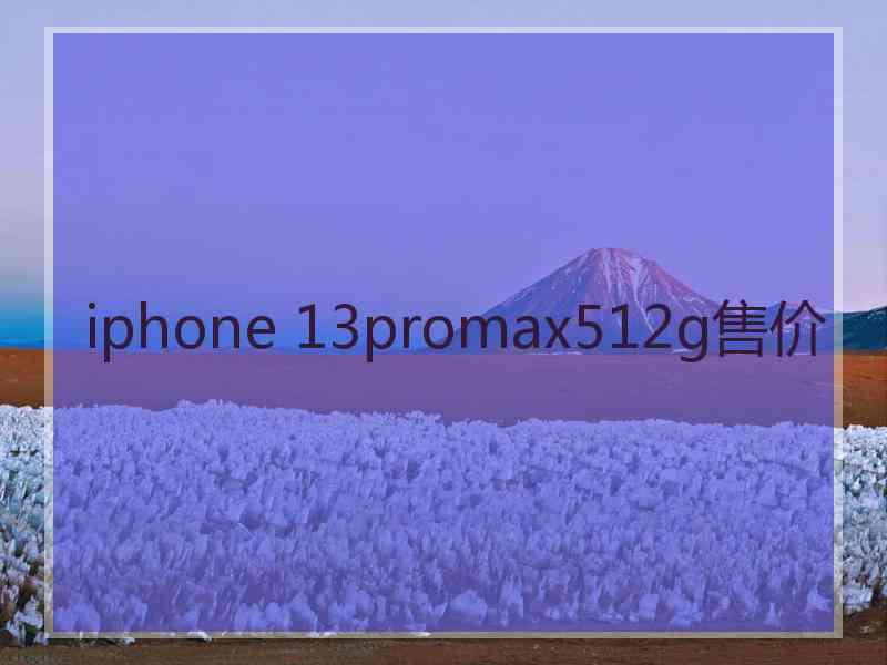 iphone 13promax512g售价