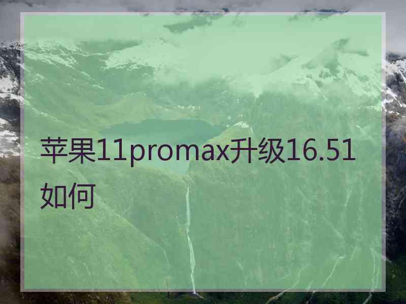 苹果11promax升级16.51如何