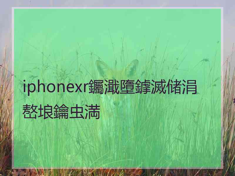 iphonexr钃濈墮鎼滅储涓嶅埌鑰虫満