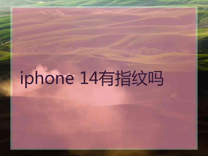 iphone 14有指纹吗