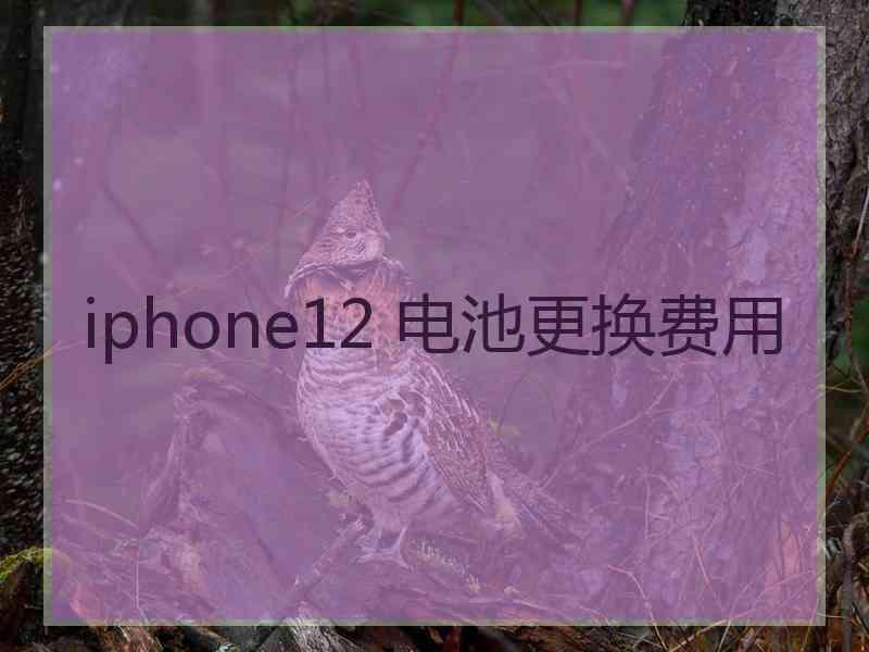 iphone12 电池更换费用