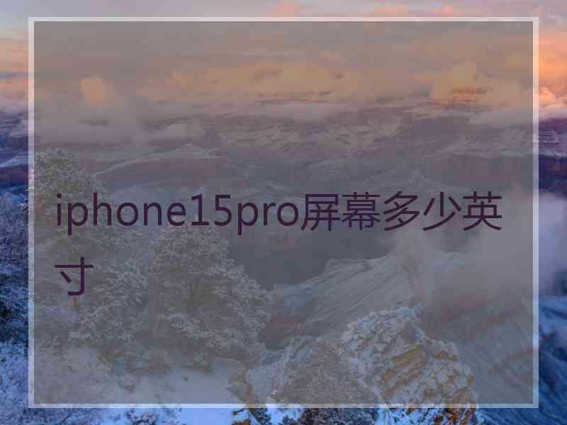 iphone15pro屏幕多少英寸