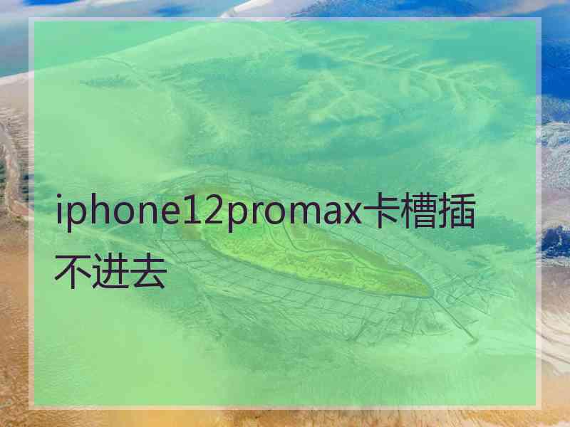 iphone12promax卡槽插不进去