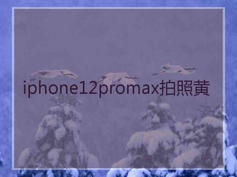 iphone12promax拍照黄