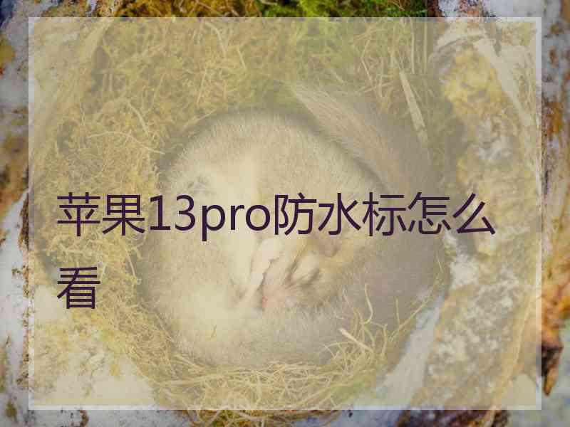 苹果13pro防水标怎么看