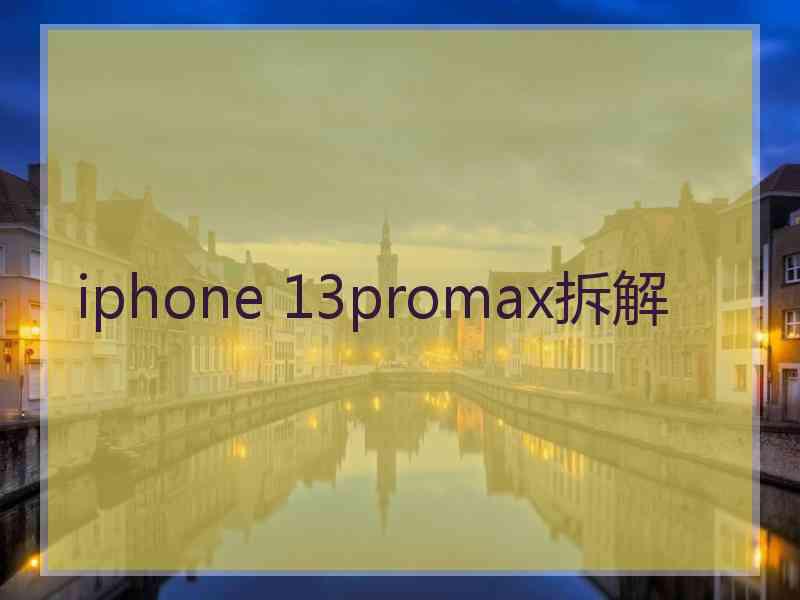 iphone 13promax拆解