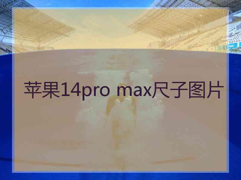 苹果14pro max尺子图片