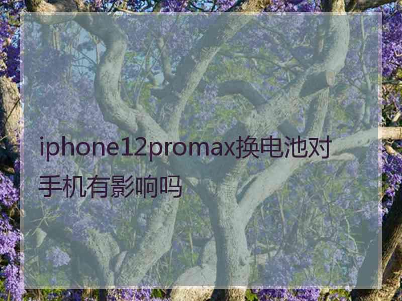 iphone12promax换电池对手机有影响吗