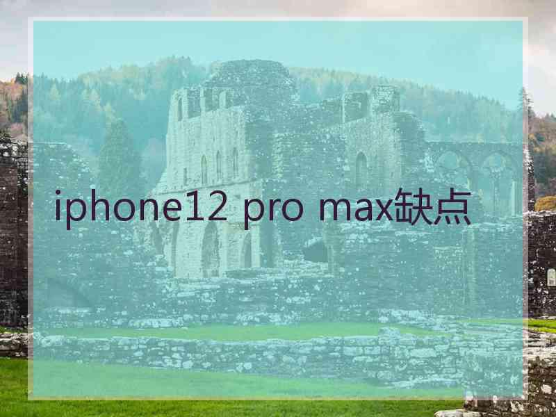 iphone12 pro max缺点