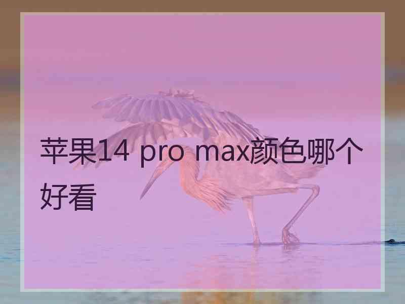 苹果14 pro max颜色哪个好看