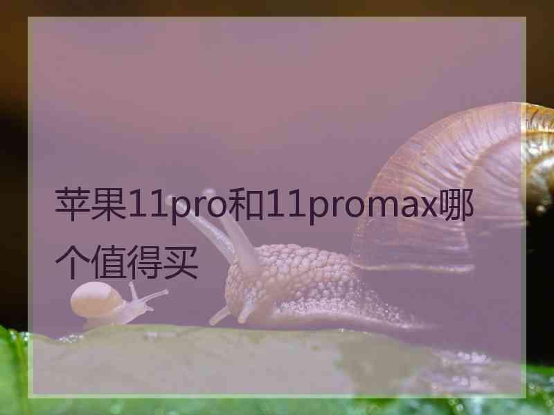 苹果11pro和11promax哪个值得买