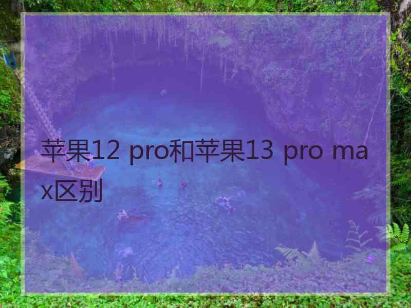 苹果12 pro和苹果13 pro max区别