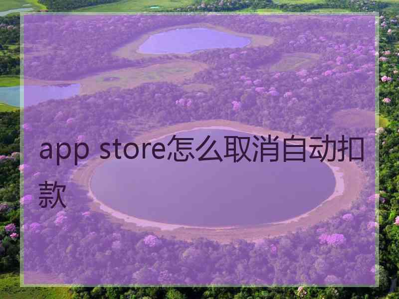 app store怎么取消自动扣款