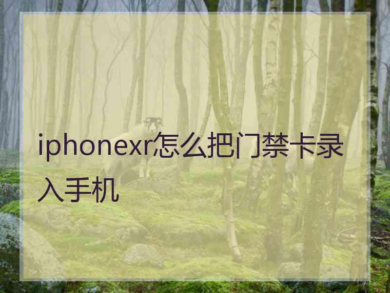 iphonexr怎么把门禁卡录入手机