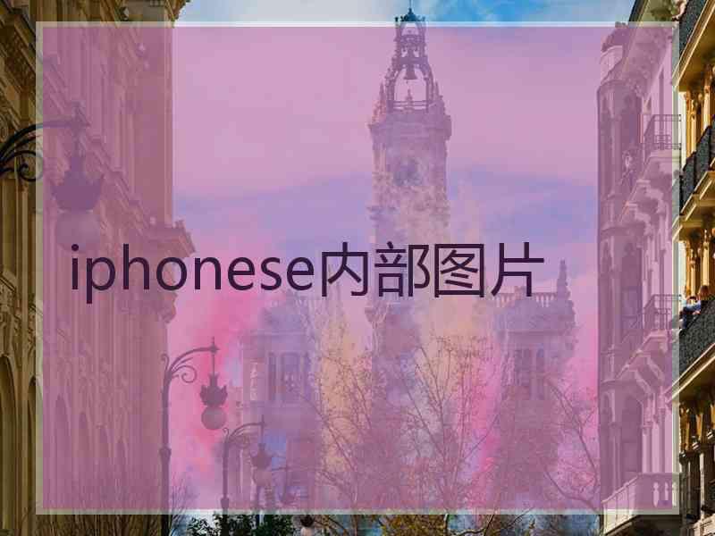 iphonese内部图片