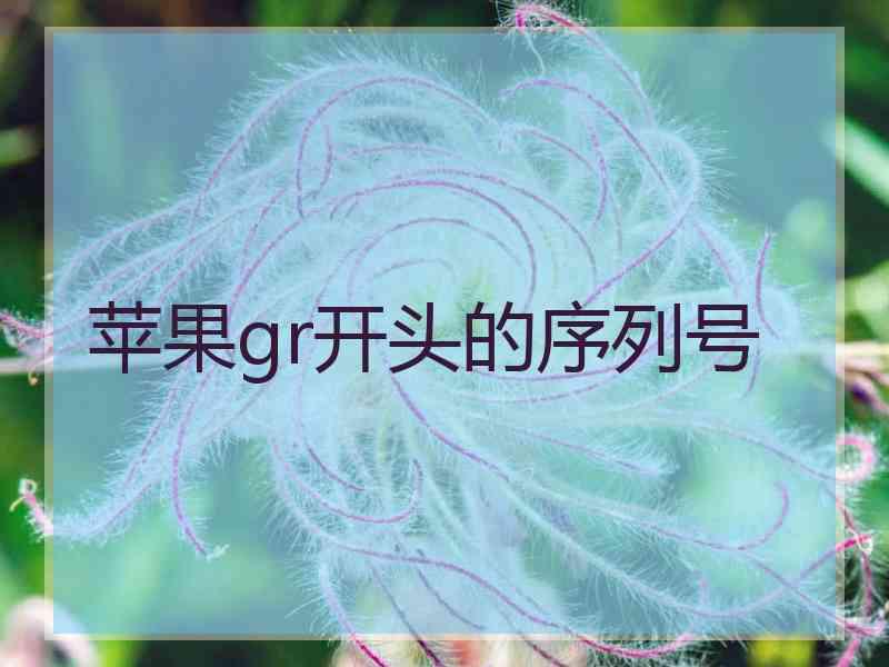 苹果gr开头的序列号